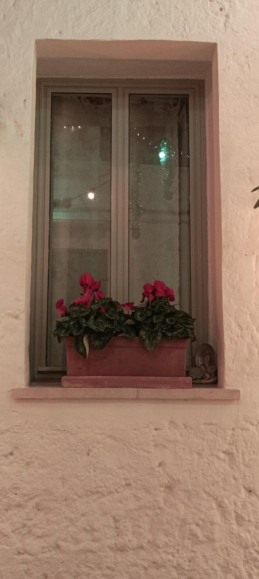 Mena Me - Casa Vacanza - Salento Parabita Eksteriør billede